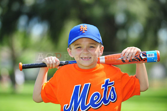 Farm_Mets075