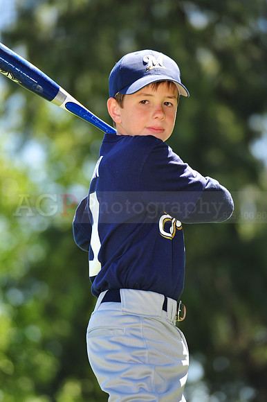 AA Brewers019