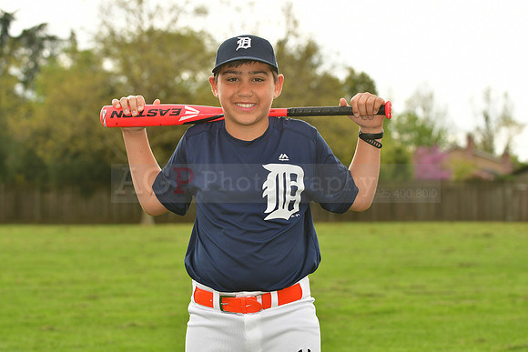 AATigers061