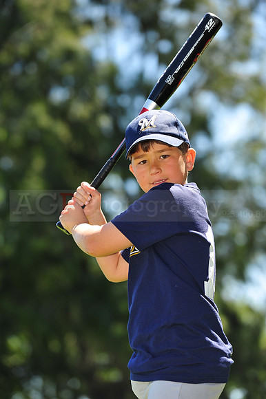 AA Brewers098