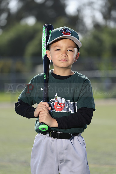 SB_TB_TinCaps018