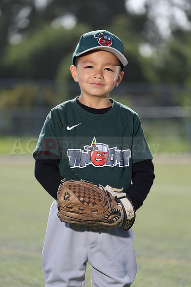SB_TB_TinCaps016