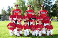 AA CARDINALS