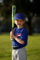 FarmCubs013