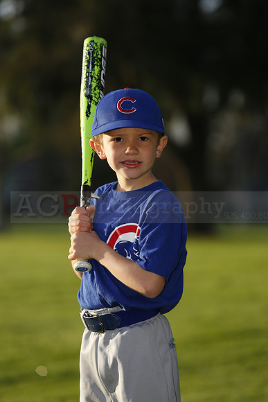 FarmCubs013