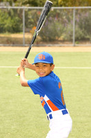 SB_BR_Mets00020