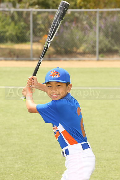 SB_BR_Mets00020