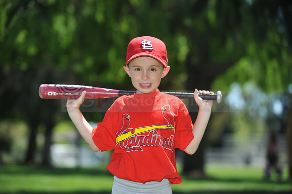 Farm_Cardinals104