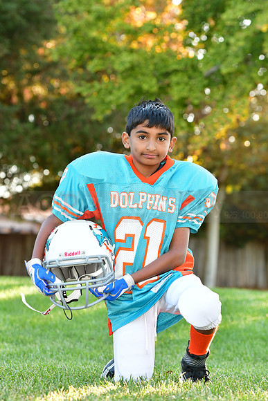 Dolphins113