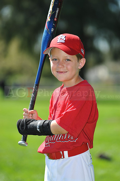 A_Cardinals007