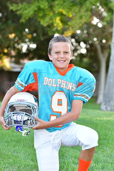 Dolphins019