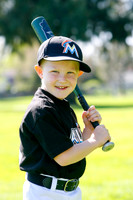 TBMarlins011