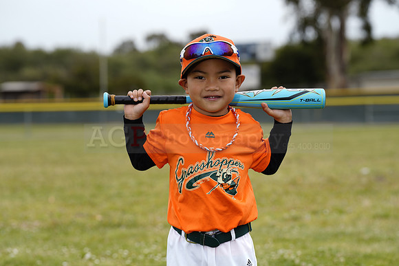 TBGrasshoppers00109