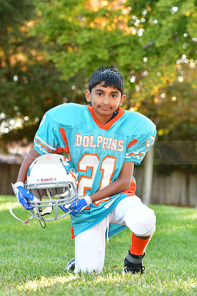 Dolphins112