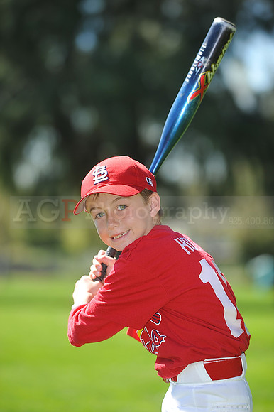 A_Cardinals048