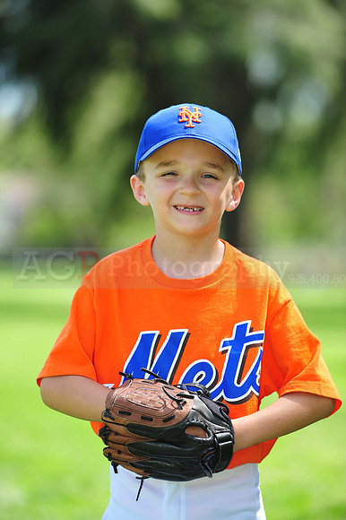 Farm_Mets077