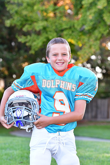 Dolphins015