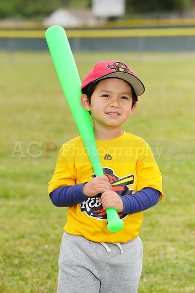 AGP08932