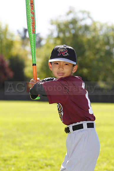 ATimberRattlers070