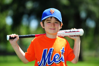 Farm_Mets006