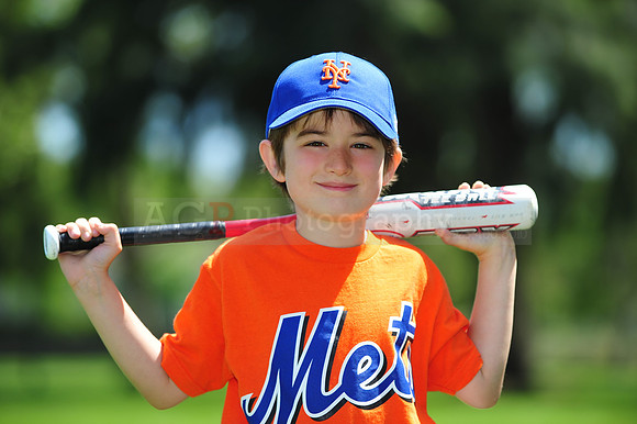 Farm_Mets006