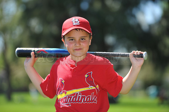 A_Cardinals113