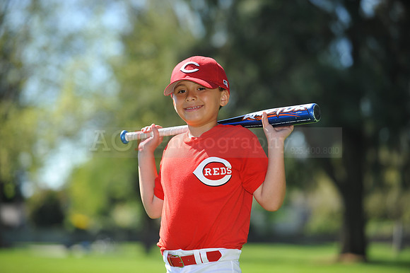 Farm_Reds092