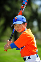 Farm_Mets013