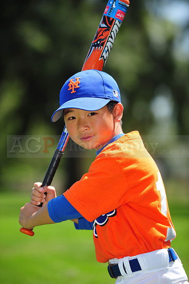 Farm_Mets013