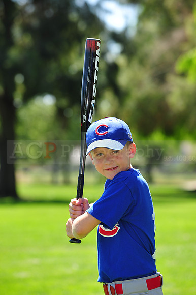 AACubs073