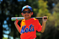AAA_Mets008