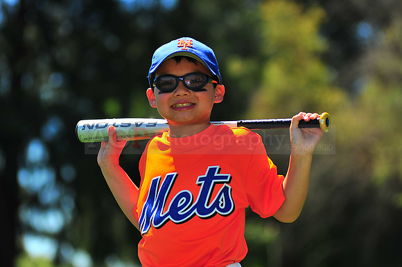 AAA_Mets008