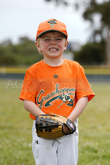 TBGrasshoppers00045