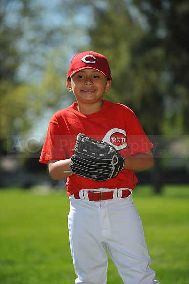 Farm_Reds086