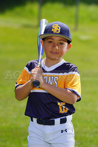 SB_PW_Lions032