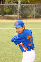 SB_BR_Mets00014