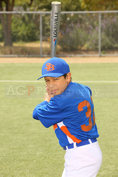 SB_BR_Mets00014