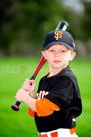 Farm_Giants015