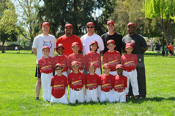 A_Cardinals120