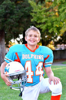 Dolphins005