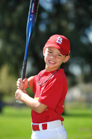 A_Cardinals016