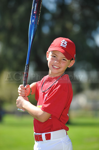 A_Cardinals016