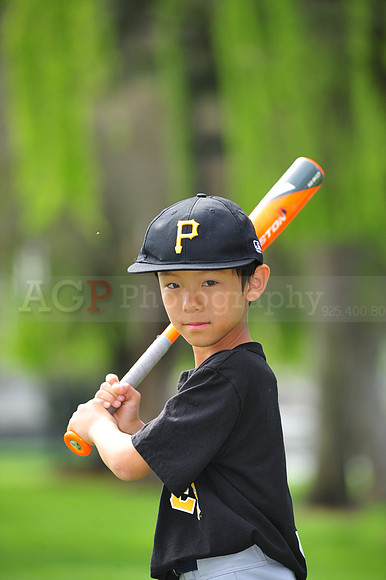 APirates203