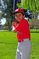 TBCardinals004