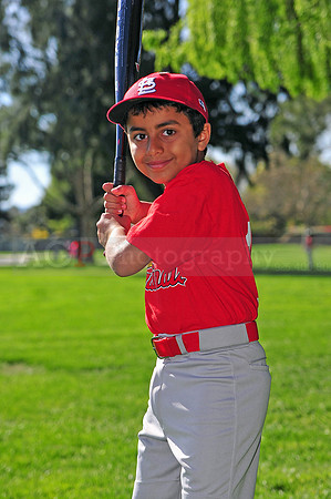 TBCardinals004