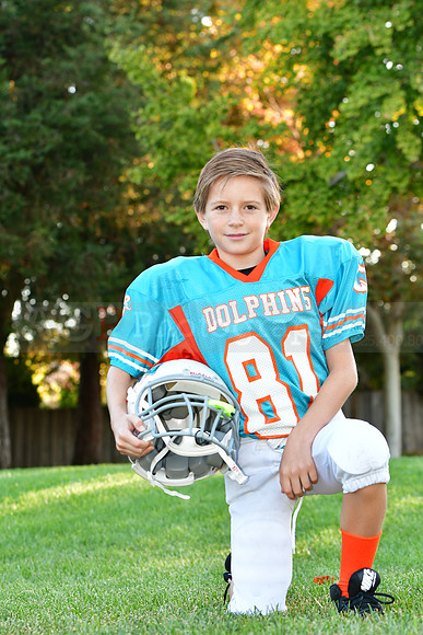 Dolphins054