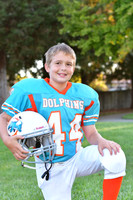 Dolphins004