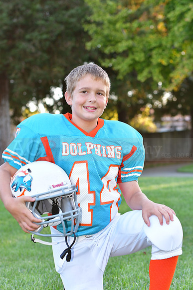 Dolphins004