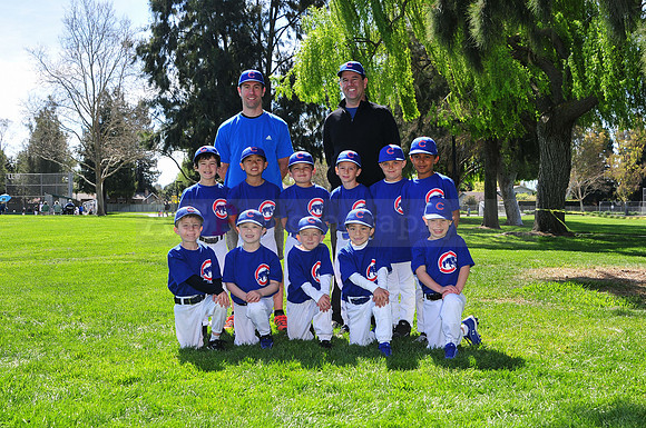 FMCubs046