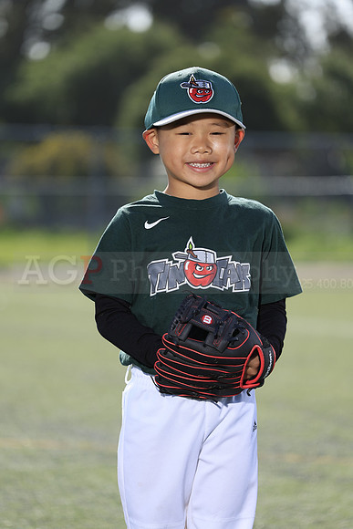 SB_TB_TinCaps043